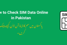 How to Check SIM Data Online in Pakistan
