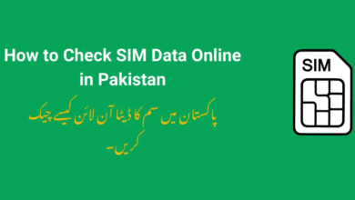 How to Check SIM Data Online in Pakistan