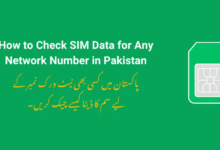 How to Check SIM Data for Any Network Number in Pakistan