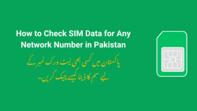 How to Check SIM Data for Any Network Number in Pakistan