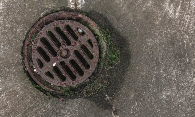 digital network growth strategy