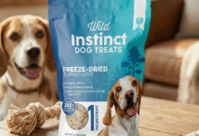 Why More Pet Owners Are Choosing Turkey Liver Treats for Dogs