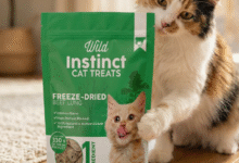 Discover Why Healthy Beef Lung Cat Treats Are a Top Choice for Cats