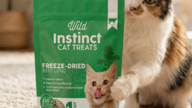Discover Why Healthy Beef Lung Cat Treats Are a Top Choice for Cats